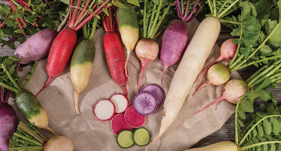 Explore Unique Radish Varieties: Beyond the Common Red Globe